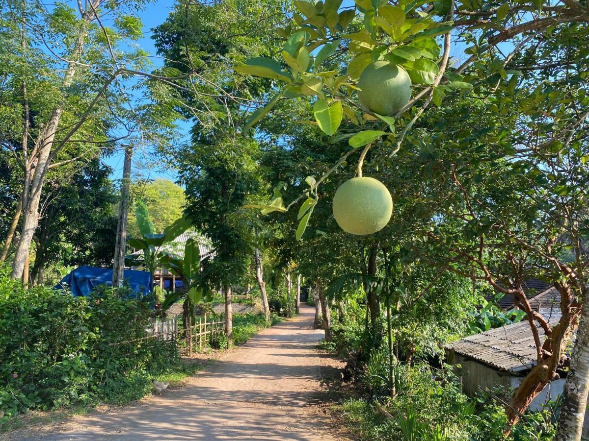 Muong Bi Homestay Hòa Bình Exterior foto