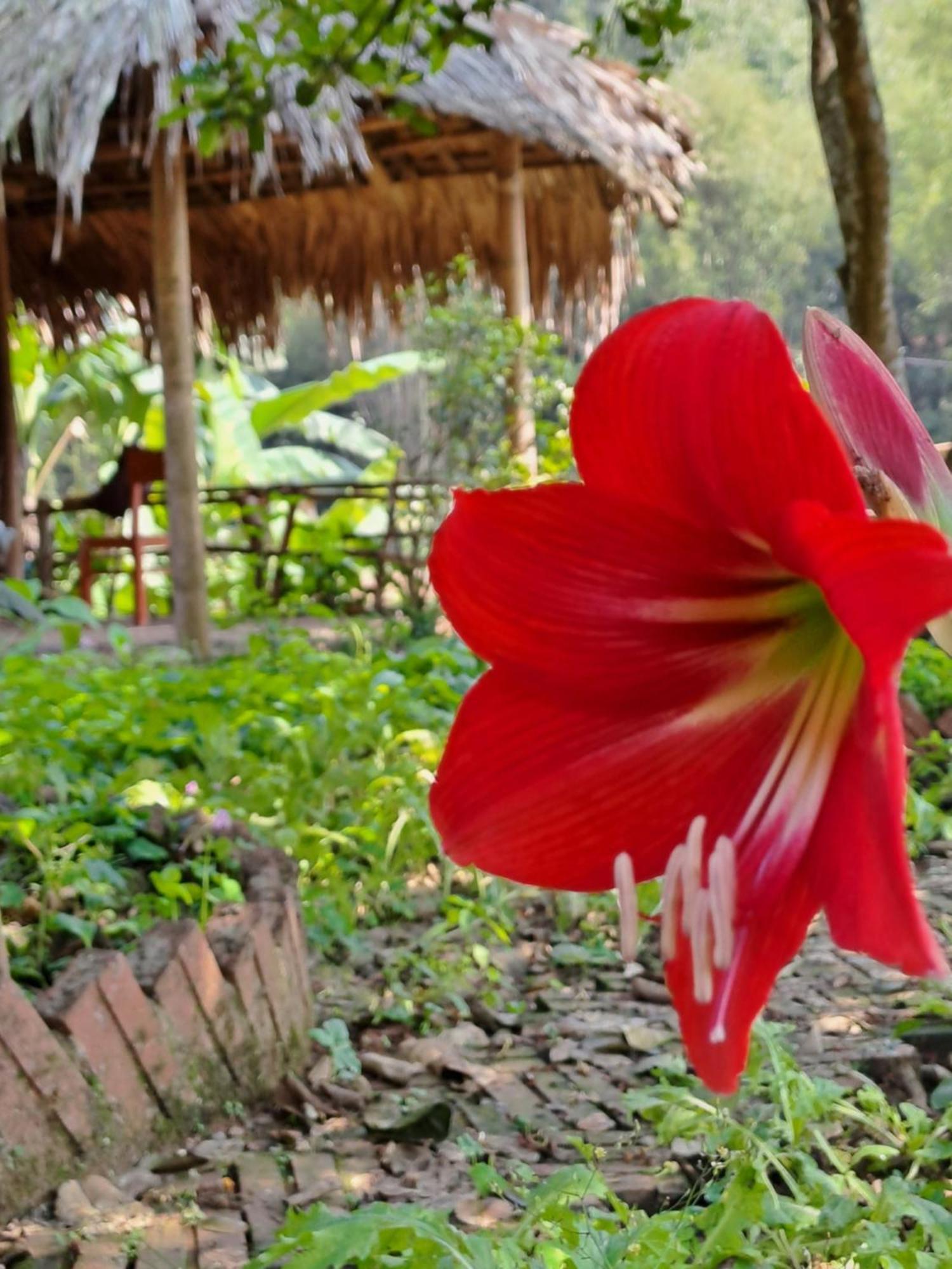 Muong Bi Homestay Hòa Bình Exterior foto